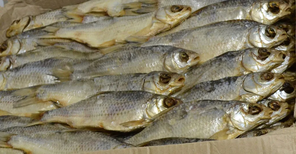 фотография продукта Вяленая вобла.Рыба оптом.Филе рыбы