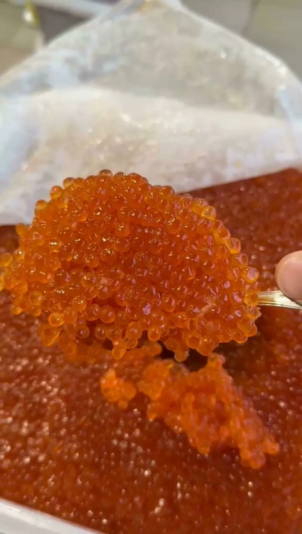 икра SALMONICA - Тымлатский РК 2025 года в Москве 4