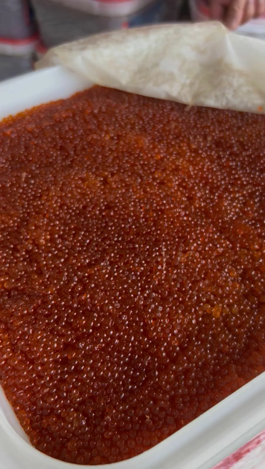 икра SALMONICA - Тымлатский РК 2025 года в Москве 3