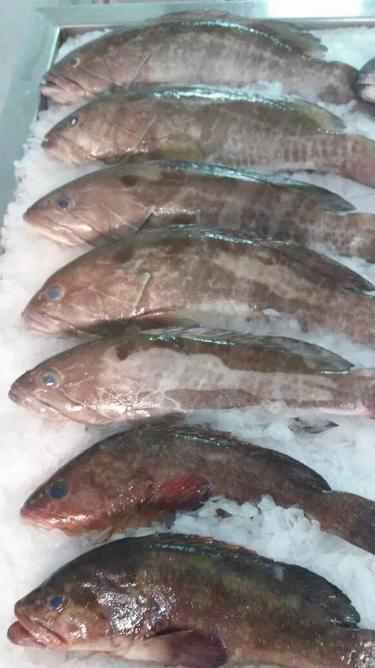 фотография продукта Свежая атлантическая рыба из Марокко