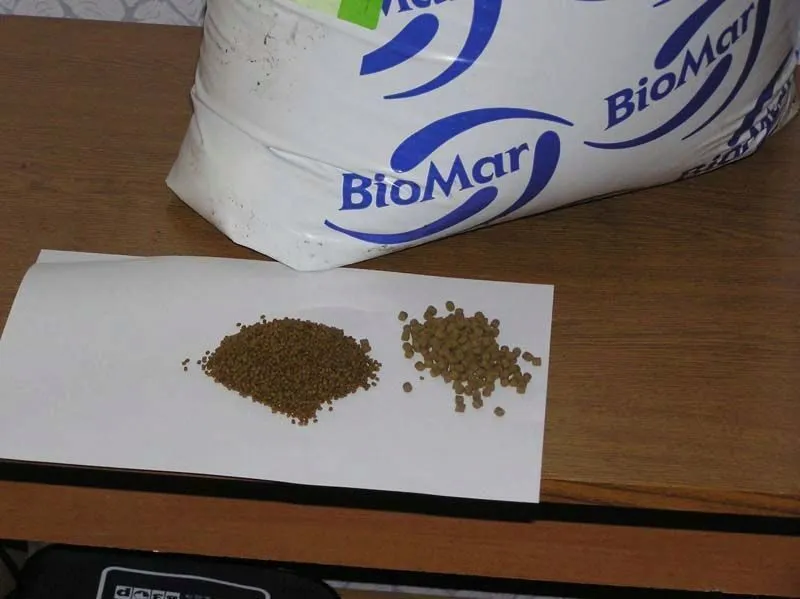 фотография продукта Корм для Форели Biomar (Биомар)