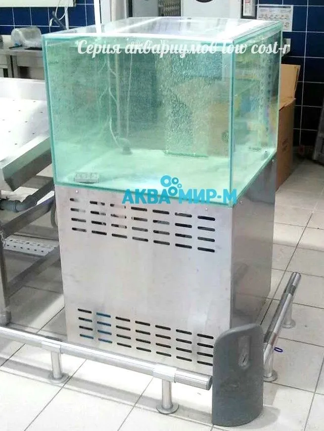 оборудование для продажи живой рыбы в Москве 12