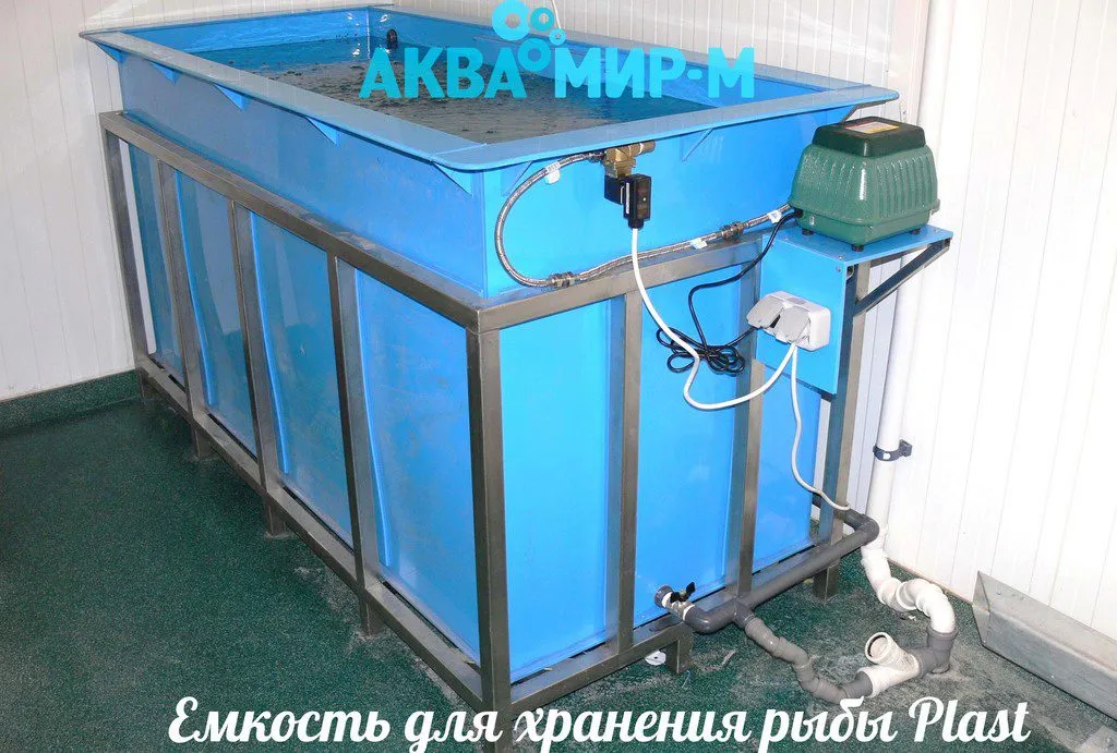 оборудование для продажи живой рыбы в Москве 8