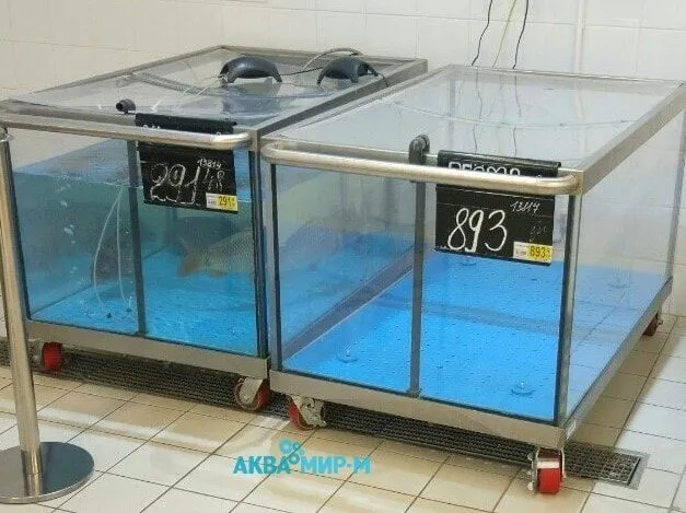 оборудование для продажи живой рыбы в Москве 7