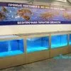 оборудование для продажи живой рыбы в Москве 6