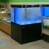 оборудование для продажи живой рыбы в Москве