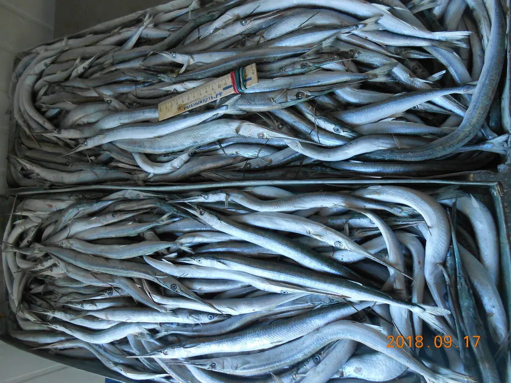крымская рыба и морепродукты оптом керчь в Керчи 15
