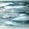 крымская рыба и морепродукты оптом керчь в Керчи 12