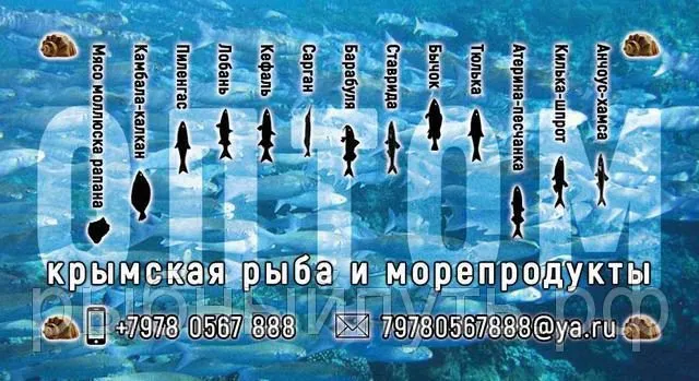 крымская рыба и морепродукты оптом керчь в Керчи 14