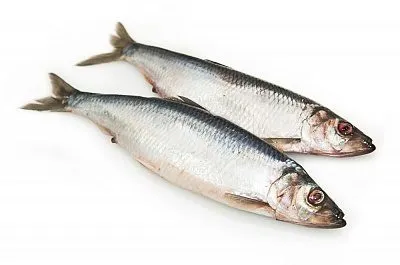 фотография продукта Свежемороженная рыба оптом и в розницу !