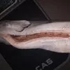 лосось индастриал 400р/кг в Екатеринбурге 3