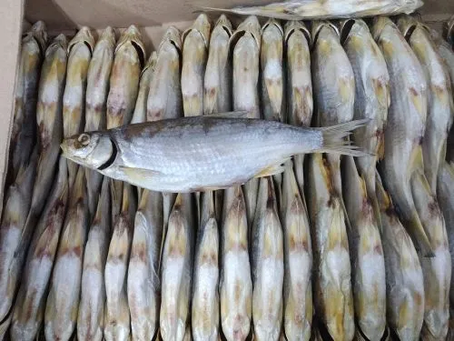 рыба вяленая, копченая в Севастополе 7