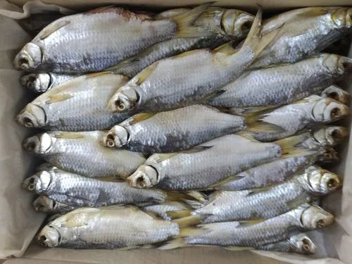 рыба вяленая, копченая в Севастополе 3