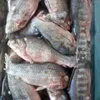 рыба для вялки и копчения свежемороженая в Невинномысске