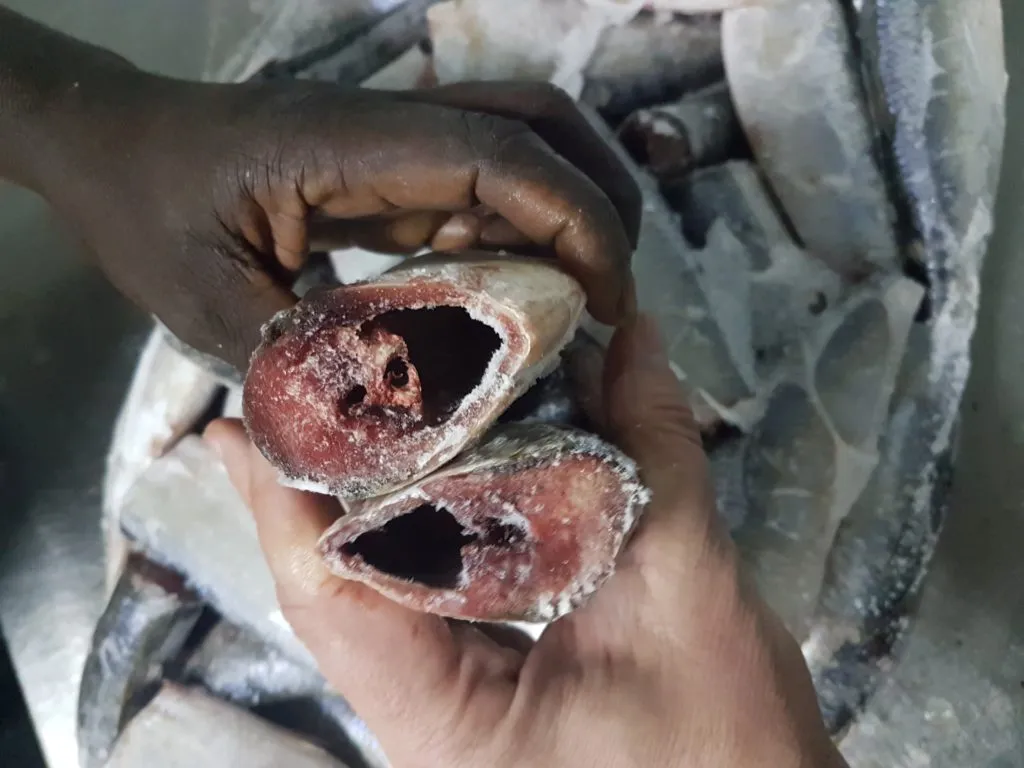 сардинелла аурита, тушка (HGT) в Мавритании