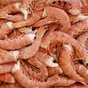 раки креветка морепродукты рыба розница в Краснодаре и Краснодарском крае 6