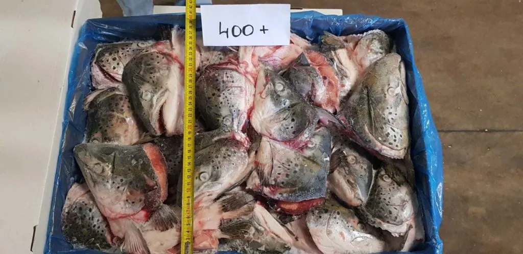 фарш лососевых пород рыбы, хребты, голов в Республике Беларусь 5