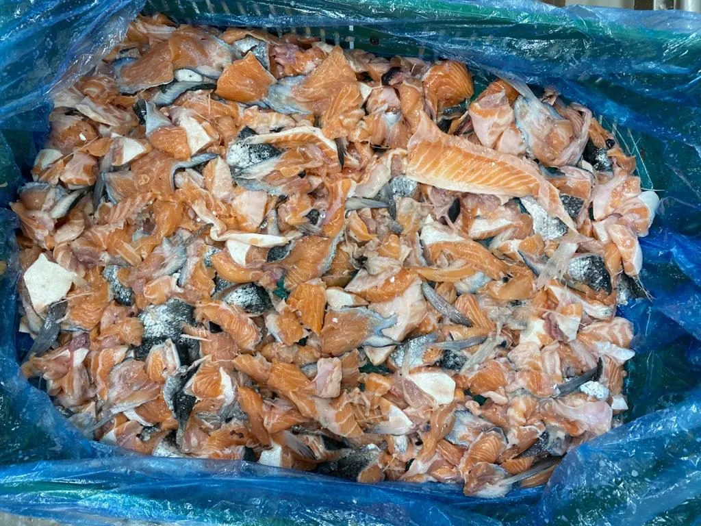 фотография продукта Фарш лососевых пород рыбы, хребты, голов