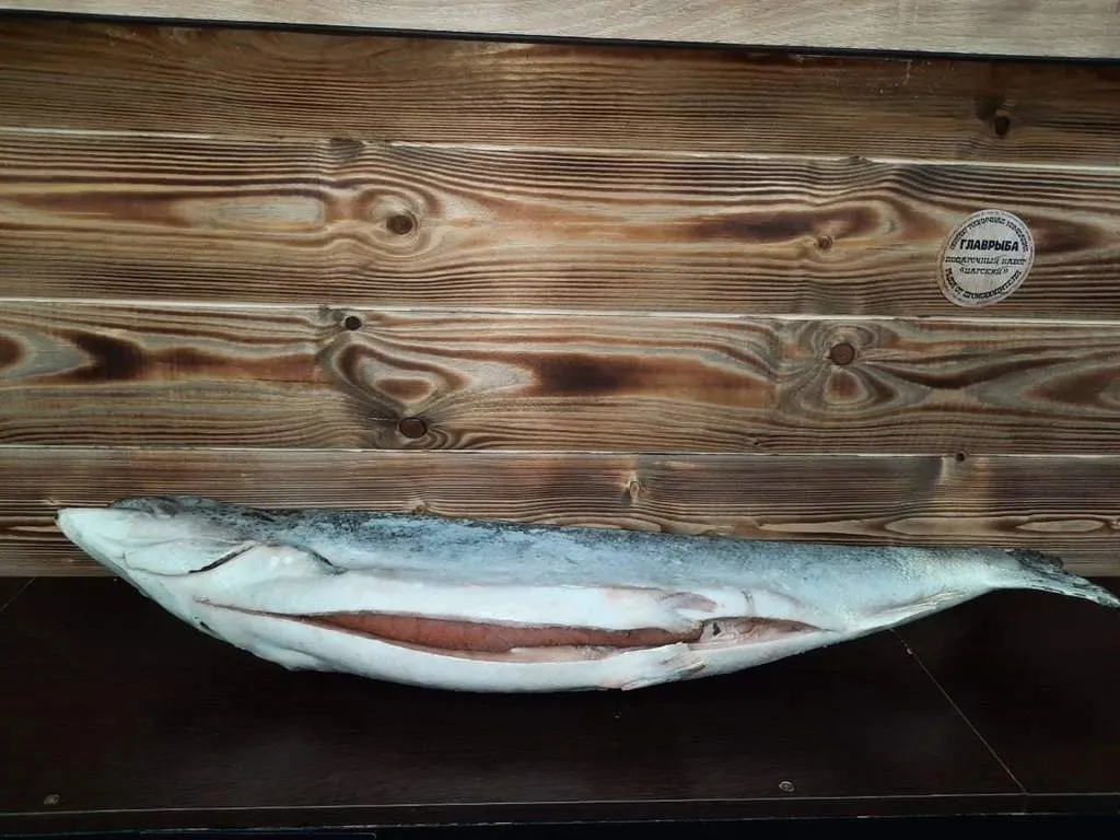 семга премиум в Москве 3