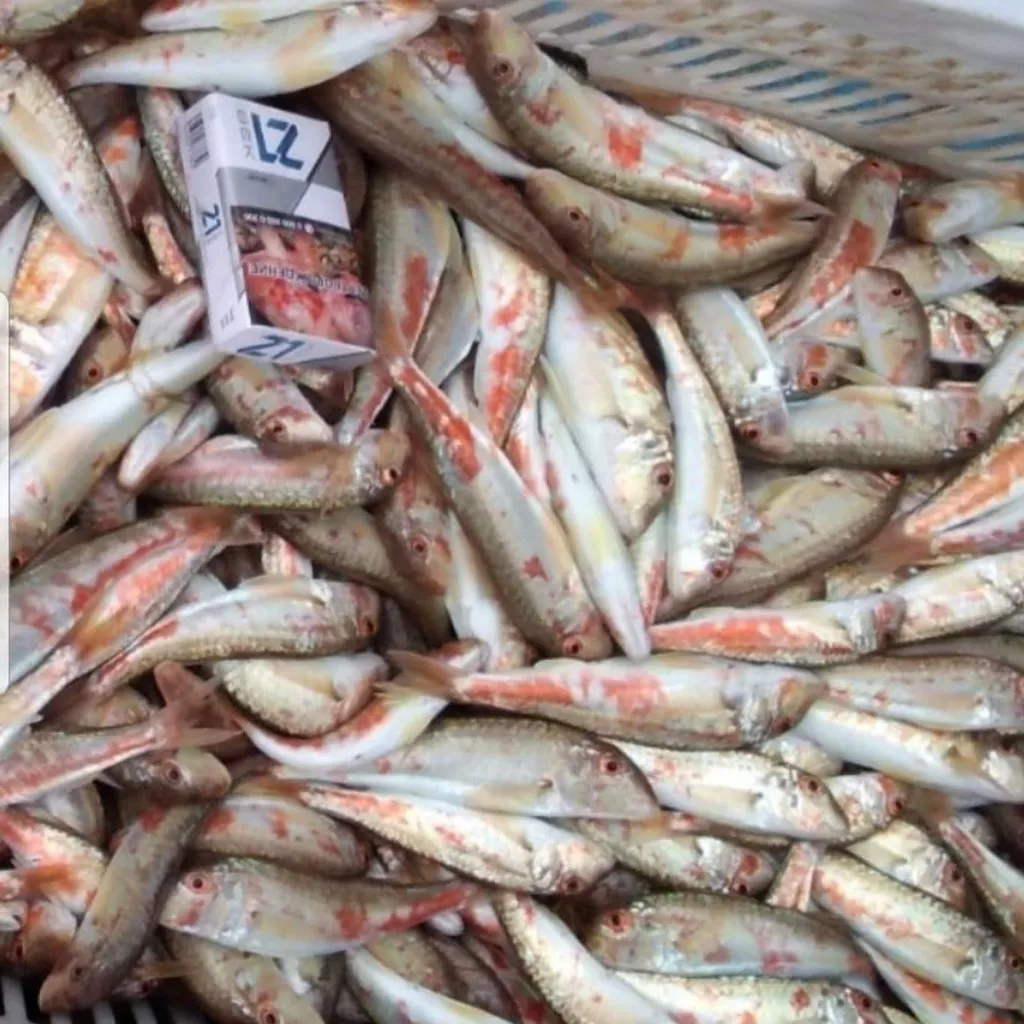 фотография продукта Черноморскую  рыбу 