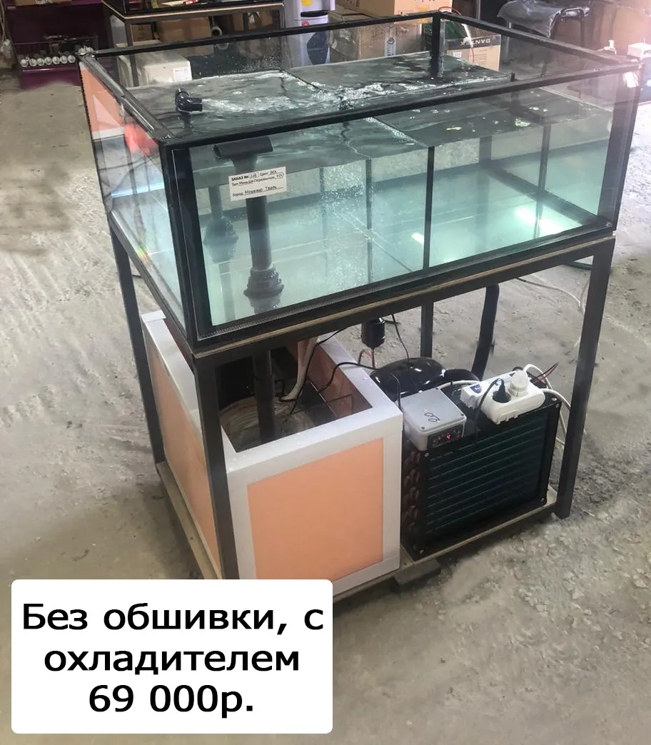 аквариум для устриц, морепродуктов, рак в Симферополе