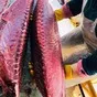 yellowfin Tuna Trim Meat 4