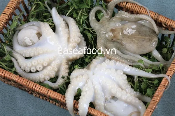 Фотография продукта Octopus From Vietnam