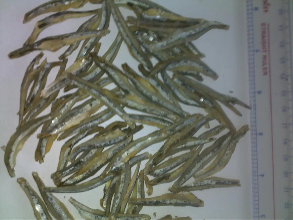 dried Salted Anchovy 3