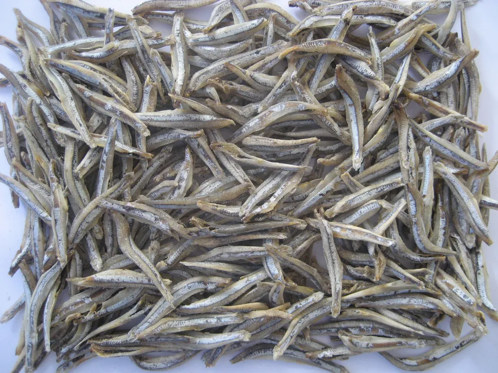 dried Salted Anchovy 5