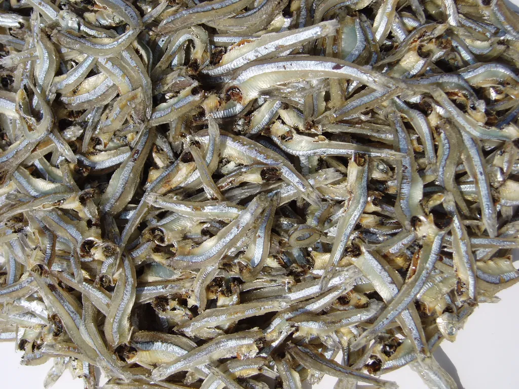 dried Salted Anchovy 4