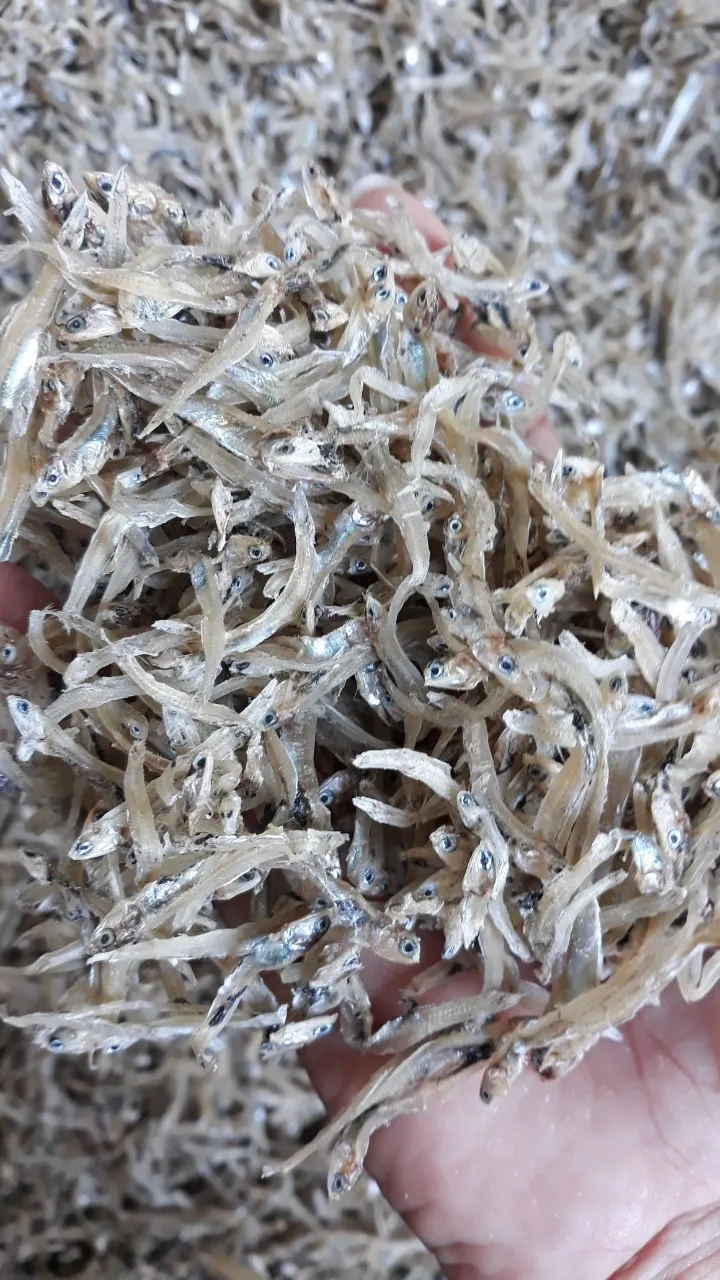 dried Salted Anchovy 6