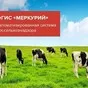 вет документы ГИС Меркурий Новосибирск в Новосибирске