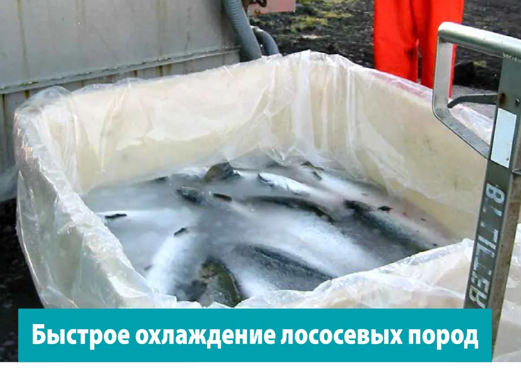 генератор жидкого льда в Мурманске и Мурманской области 2