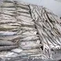 оптовые поставки речной рыбы в Краснодаре и Краснодарском крае 2