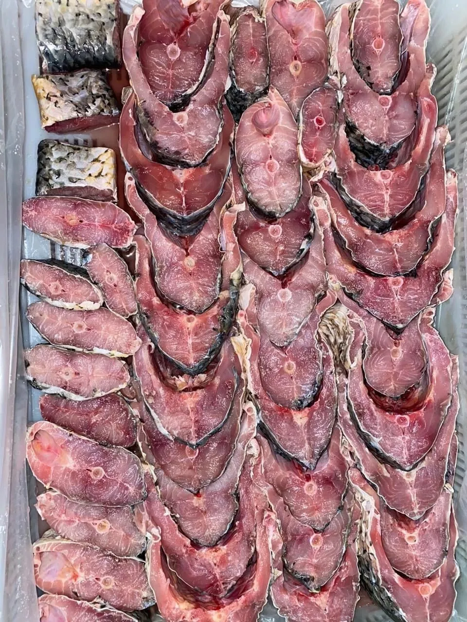 фотография продукта Филе,тушка,стейки из сазана каспийского