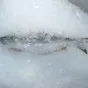 льдогенераторы чешуйчатого льда в Хабаровске 2