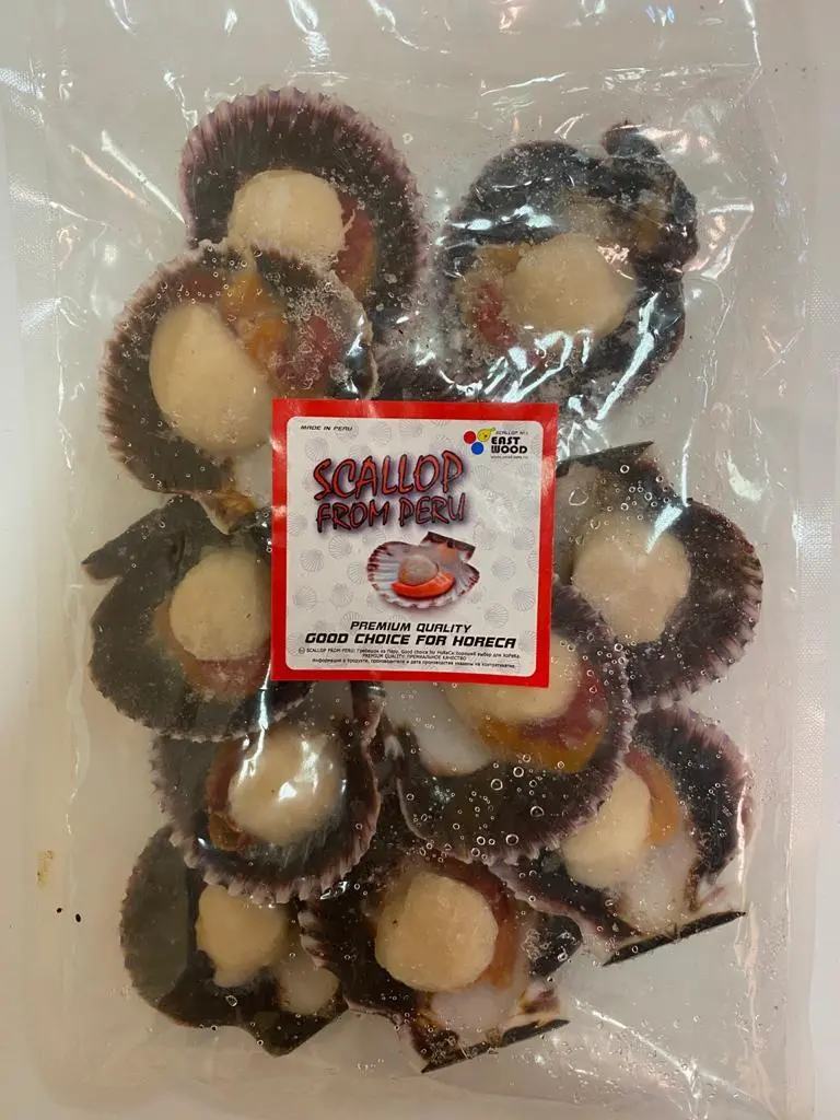фотография продукта Морской гребешок на раковине (Перу)