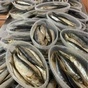 услуги по произодству и переработке рыбы в Республике Беларусь
