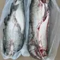 горбуша/ корюшка/ мойва в Новосибирске 2