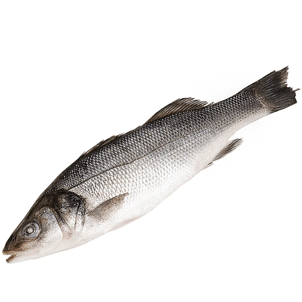 фотография продукта Сибас 400...Рыба и морепродукты Оптом