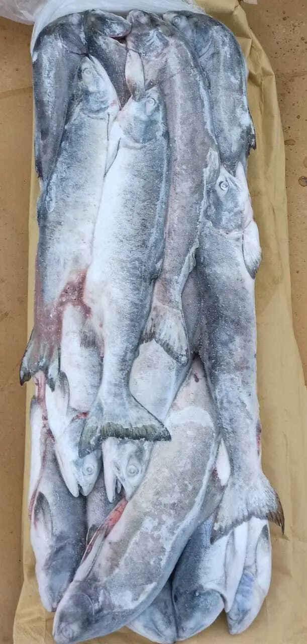 фотография продукта речную, морскую рыбу, икру, крабы оптом