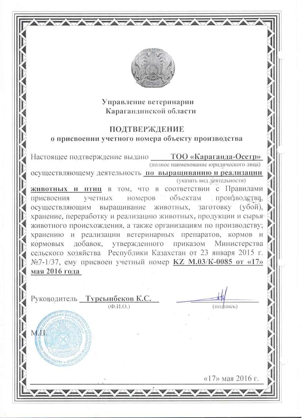 гибрид Калуги, стерляди, ленского осетра в Казахстане 3