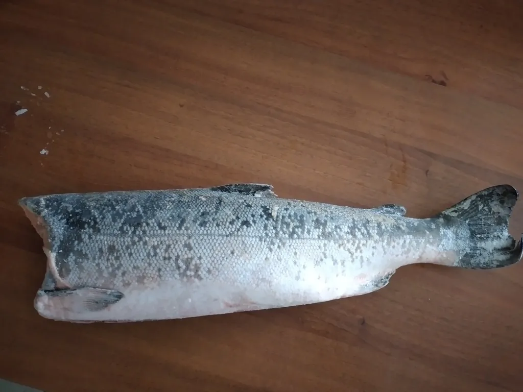 фотография продукта Камчатская мороженая рыба опт
