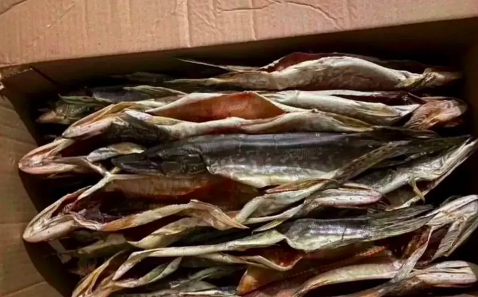 Фотография продукта Рыба вяленая и хол копчения Астраханская