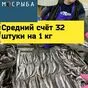 мойва Сахалин 2022 года от производителя в Москве 3