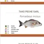 все виды рыбы из Мавритании  в Мавритании 2