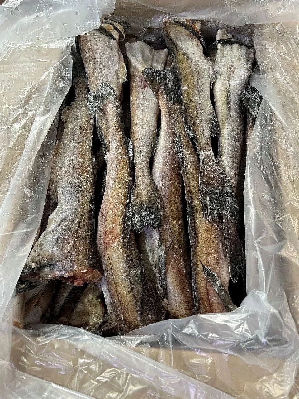 фотография продукта Дальневосточная рыба с доставкой