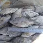 зимняя рыба на вялку оптом в Ростове-на-Дону 4
