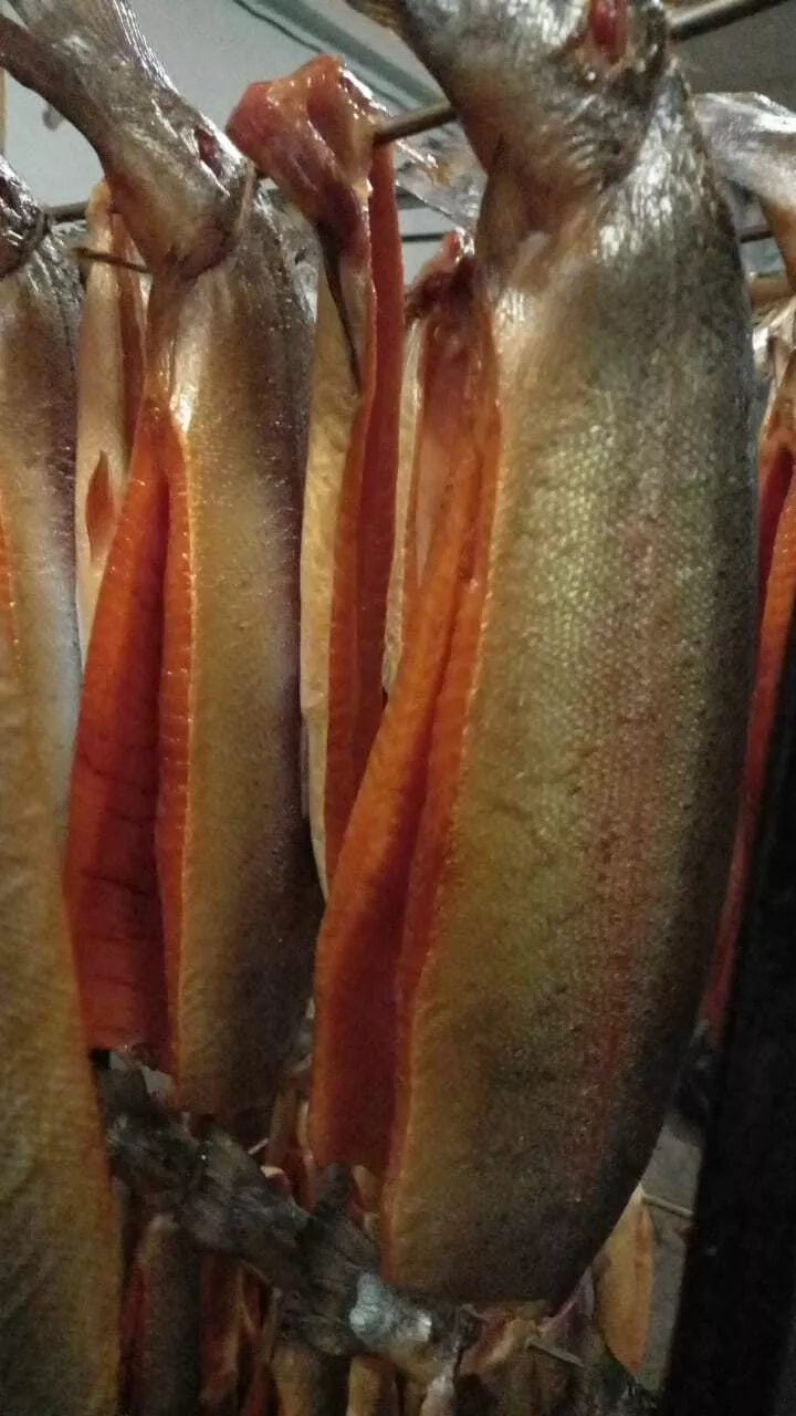 фотография продукта Речная и морская рыба