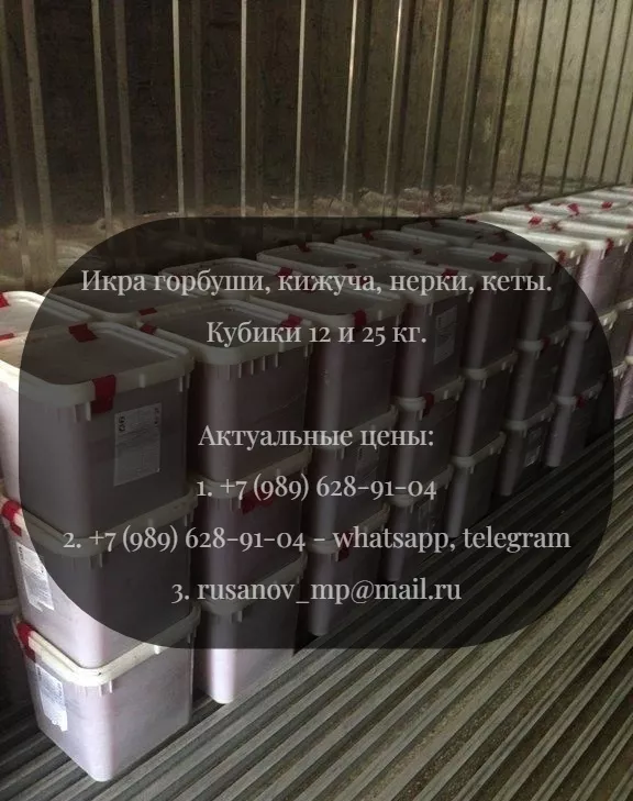 фотография продукта Красная икра горбуши оптом в таганроге 
